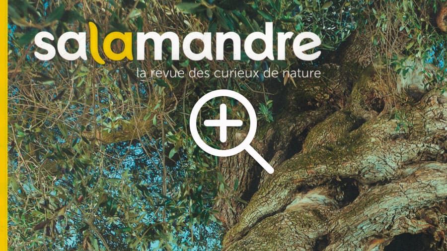 Article sur Guillaume Dubosq Livre Byblos Restaurant