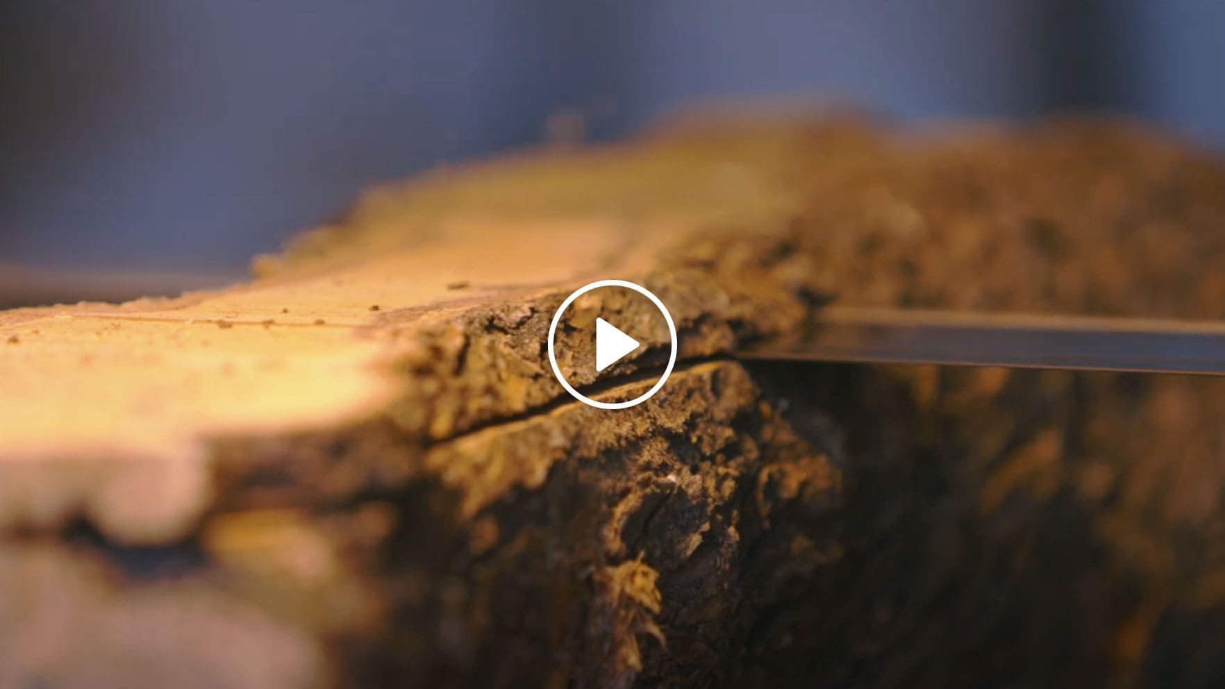 Aperçu de la vidéo passage télévisé du Travail du Bois d'olivier dans La maison France 5